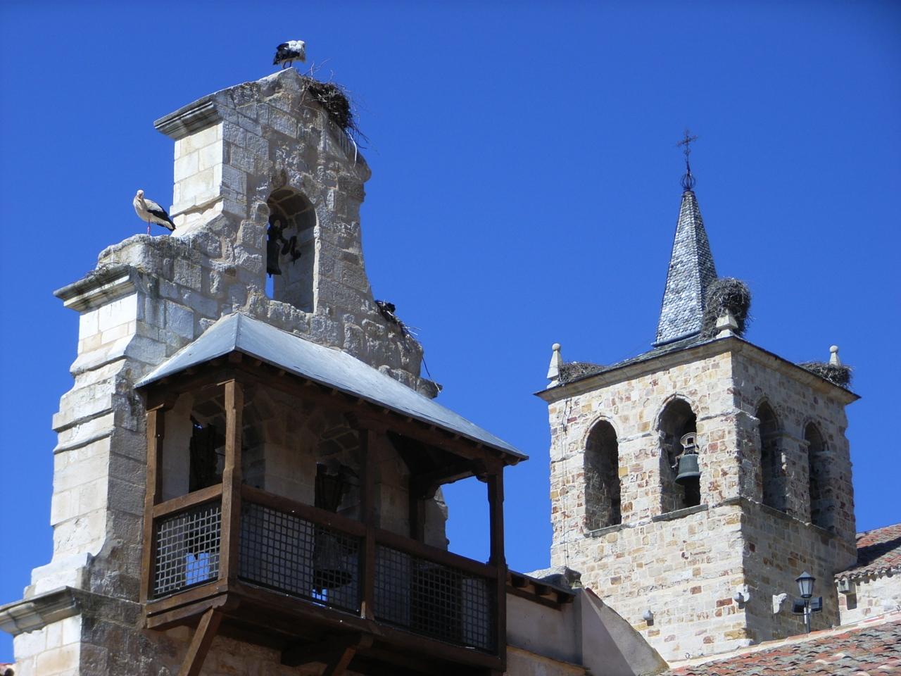 Catedral